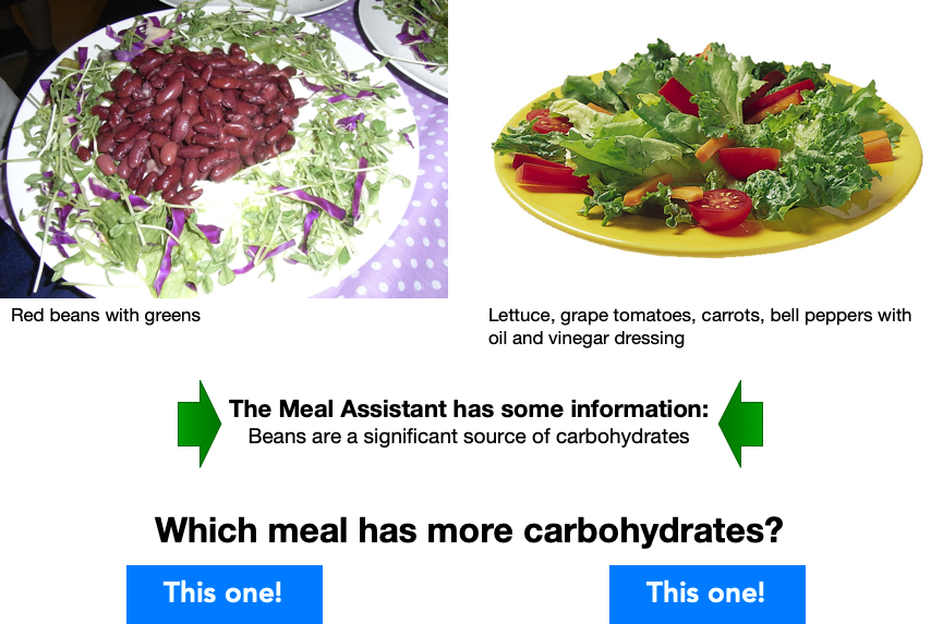 example of a question showing relevant information generated by the Meal Assistant